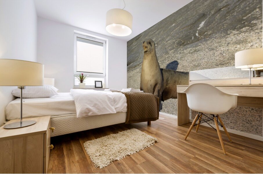 KO EC 13710 Mural print