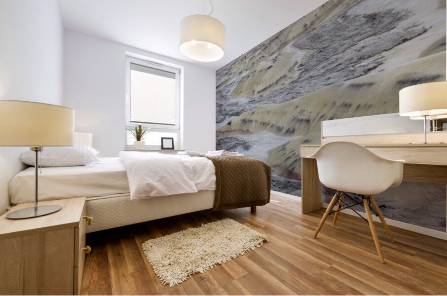 John Day Fossil Beds National Monument Oregon Mural print