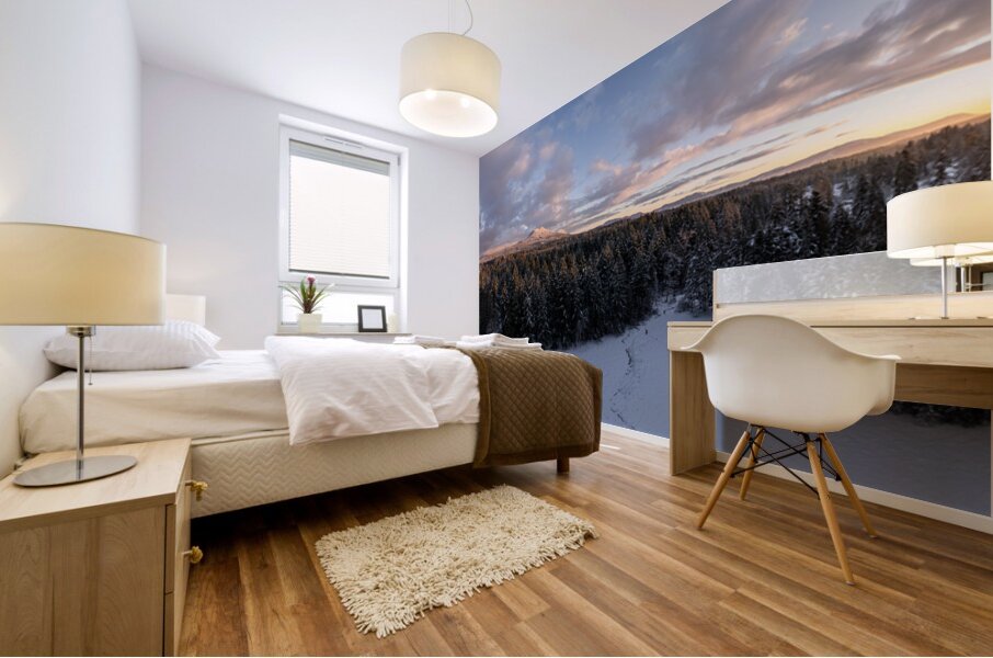 Cowichan Winter Sunrise Mural print