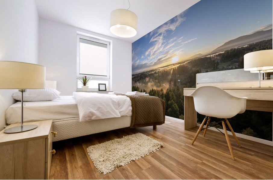 Cowichan Valley Rays Mural print