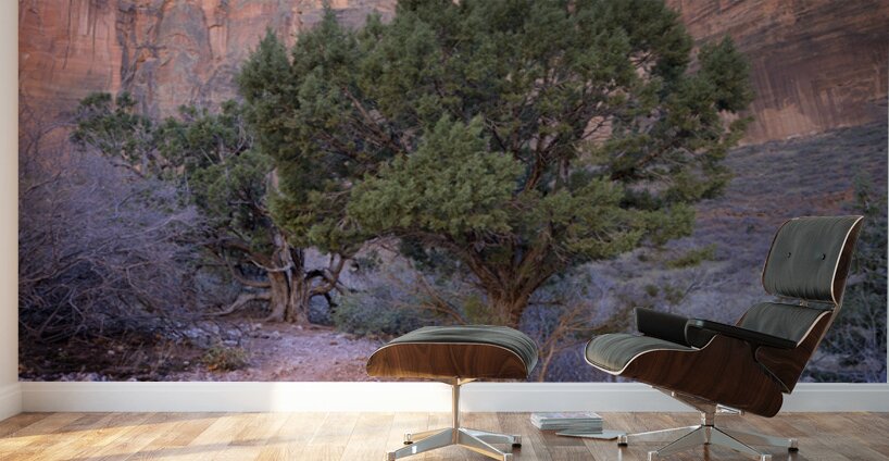 Zion National Park Utah Wall Murals