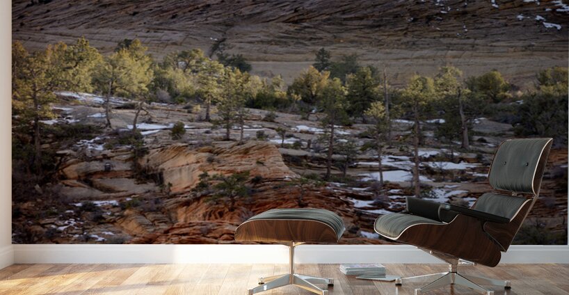 Zion National Park Utah Wall Murals