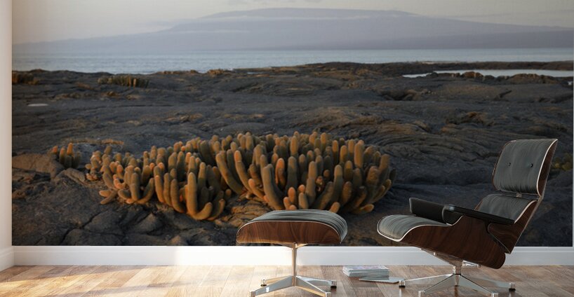 Lava Cactus Wall Murals