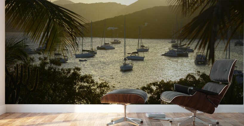 Catamarans and sailboats at the anchorage at Pussers Marina Cay Wall Murals