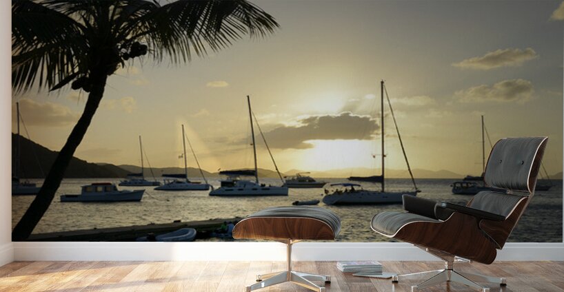 Dramatic sunset at Manchioneel Bay Wall Murals