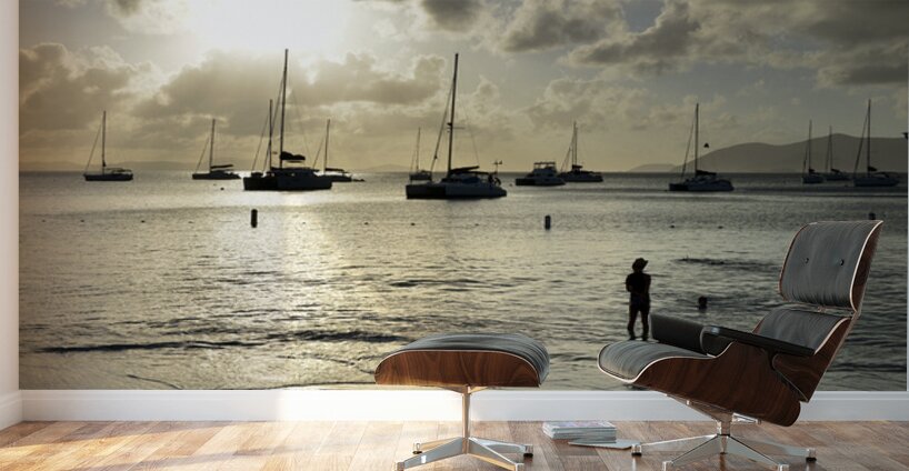 Cane Garden Bay Wall Murals