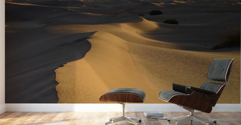 Mesquite Flat Sand Dunes at sunrise Wall Murals