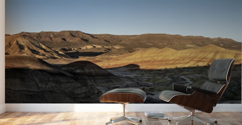 John Day Fossil Beds panorama Wall Murals