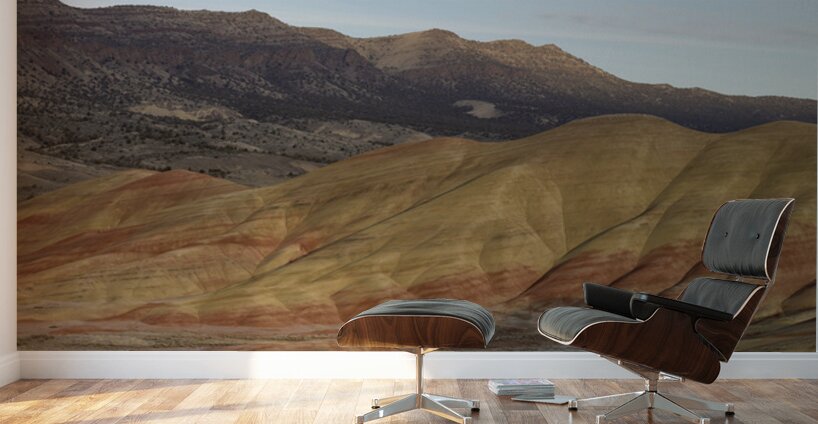 John Day Fossil Beds - Painted Hills Wall Murals