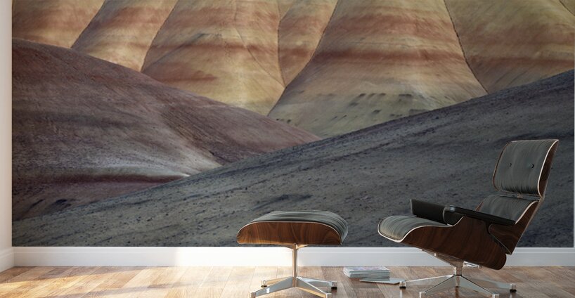 John Day Fossil Beds Wall Murals