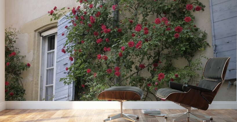 Roses climbing a wall Lourmarin Wall Murals