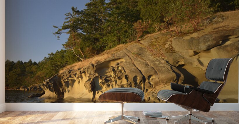 Wave etched sandstone cliff - Tent Island Wall Murals