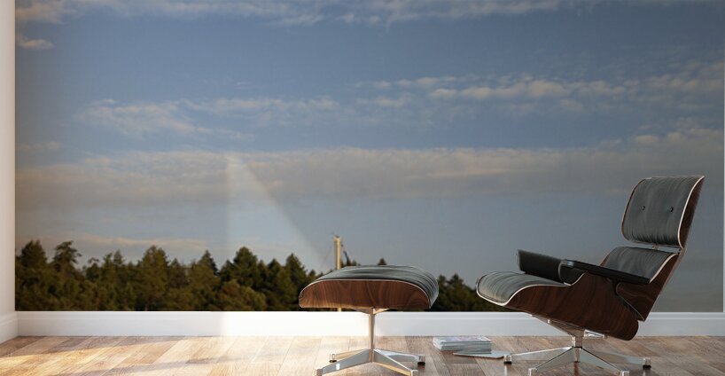 Sailboats at anchor on the west side of Tent Island Wall Murals