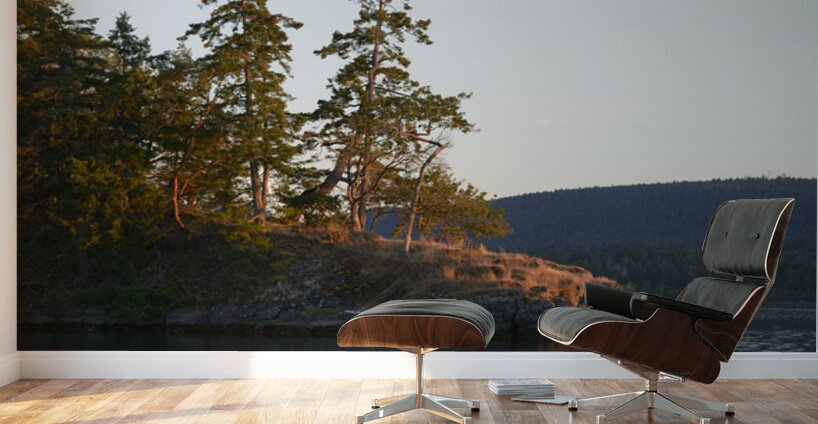 Arbutus and fir trees on the point at Conover Cove Wall Murals