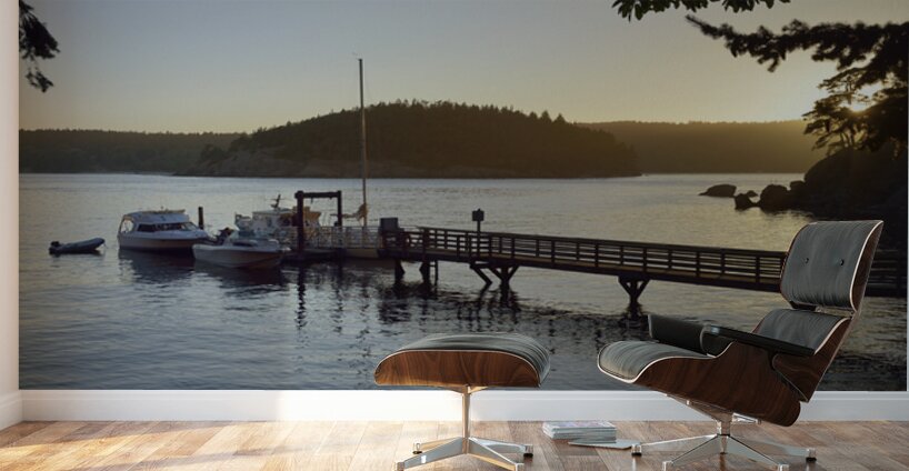 James Island - San Juan Islands Wall Murals