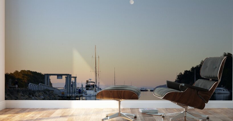 Sucia Island Moonrise - San Juan Islands Wall Murals