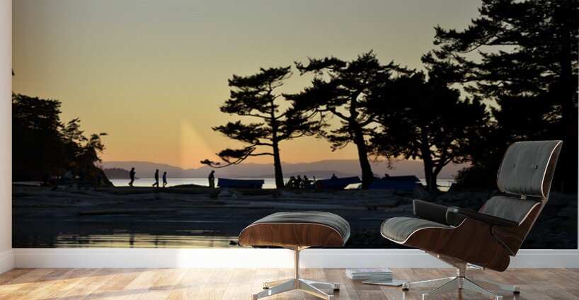 Sucia Island Sunset - San Juan Islands Wall Murals