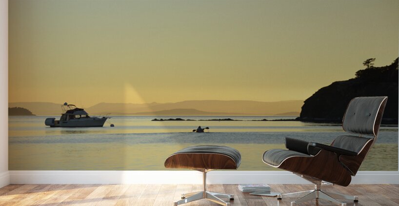 Kayaker and motor boat at anchor in Fox Cove. Sucia Island Wall Murals