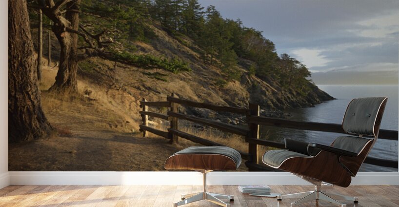 Wood fencing along the cliffs at East Cove Wall Murals