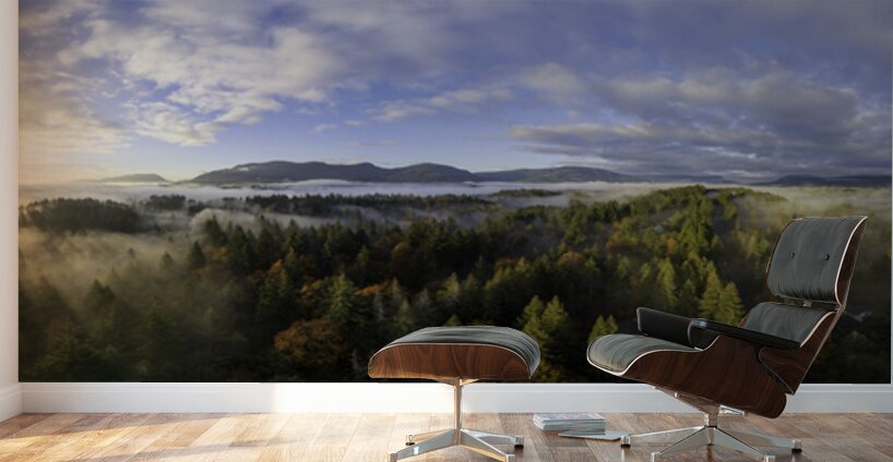 Spring Rays - Vancouver Island Wall Murals