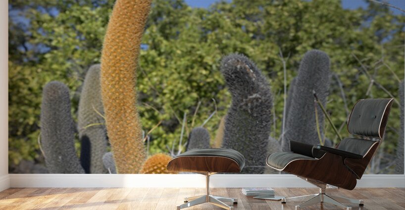 KO EC 8313 Wall Murals