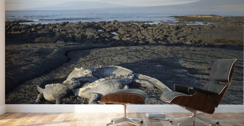 KO EC 10853 Wall Murals