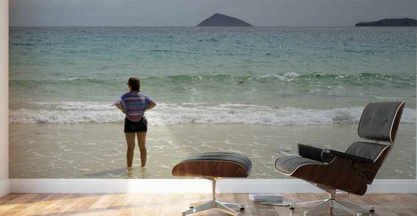 Looking out to sea at Punta Cormorant Floreana Island Galapagos Islands Ecuador Wall Murals