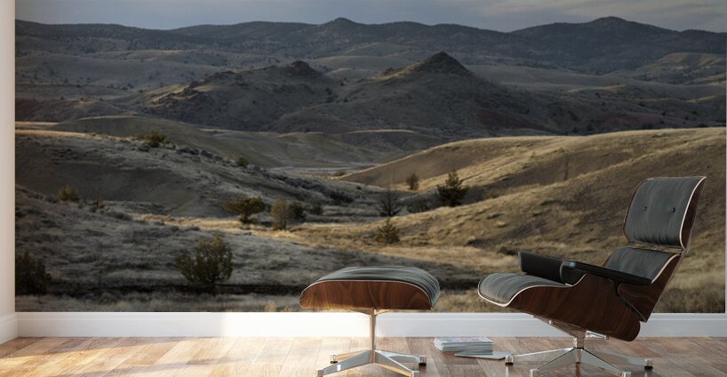John Day Fossil Beds National Monument Oregon Wall Murals