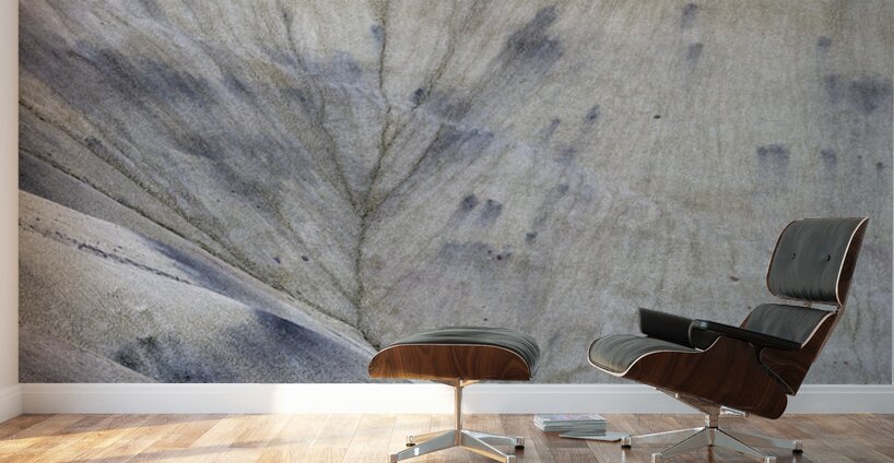 John Day Fossil Beds National Monument Oregon Wall Murals