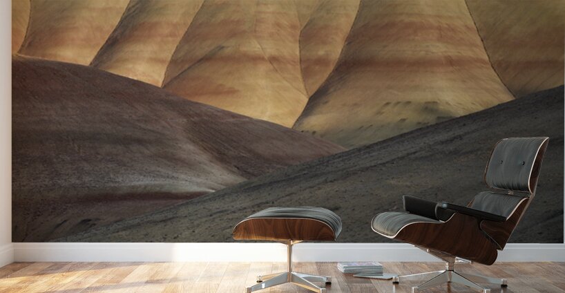 John Day Fossil Beds National Monument Oregon Wall Murals
