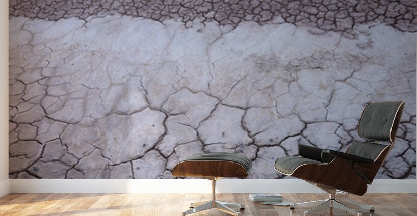 John Day Fossil Beds National Monument Oregon Wall Murals