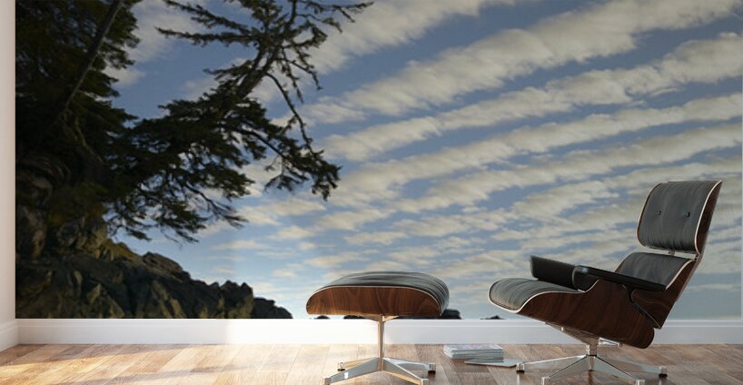 Dramatic clouds above Tonquin Beach Tofino Wall Murals