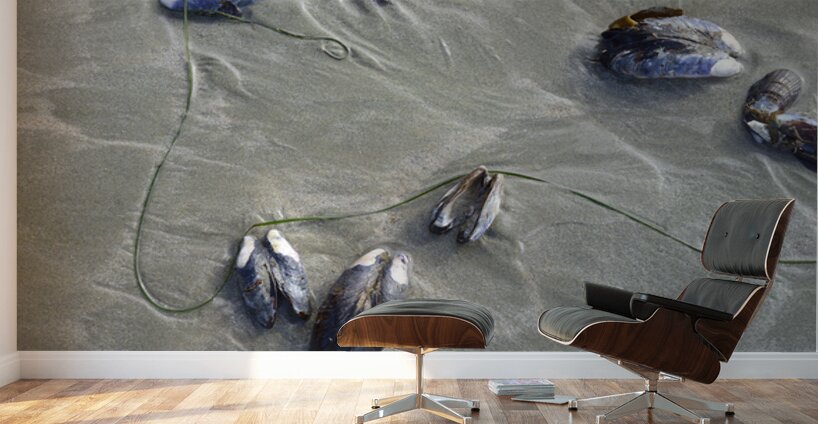 Abstract photo of mussels on the sand Chesterman Beach Wall Murals