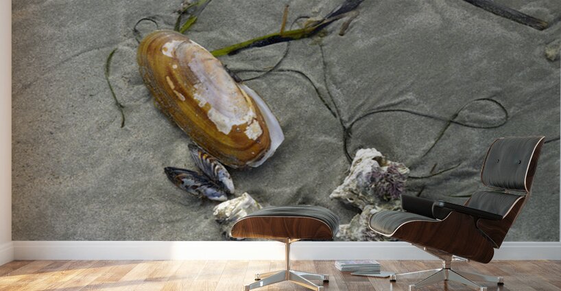 Chesterman Beach Vancouver Island British Columbia Wall Murals