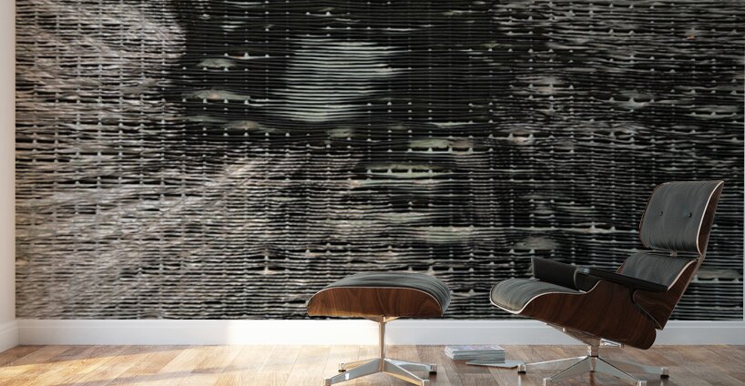 KO B40611 Wall Murals