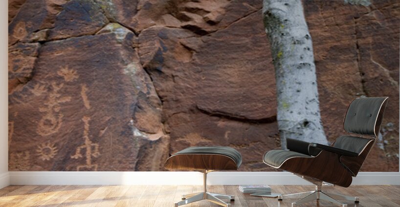 Ancient petroglyphs showcasing animal figures and geometric designs Crane Petroglyph Site Verde Valley Arizona Wall Murals