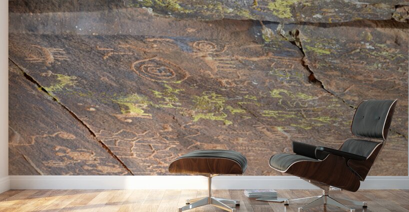 Ancient petroglyphs showcasing animal figures and geometric designs Crane Petroglyph Site Verde Valley Arizona Wall Murals