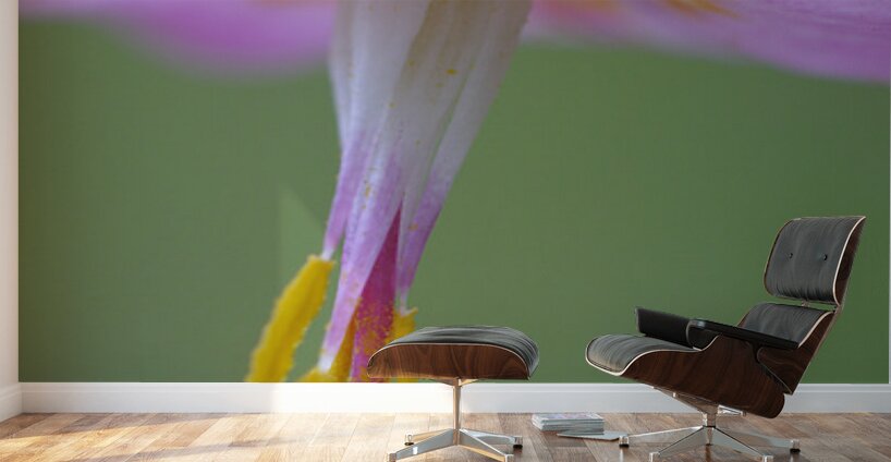 KO A18015 Wall Murals