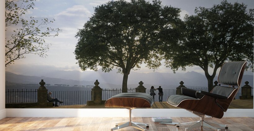 People enjoying the view from the Alameda del Tajo Ronda Málaga Andalusia Spain Wall Murals