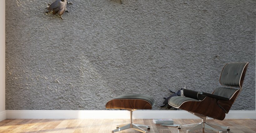 Metal fly sculpture on a house wall Tannay Nièvre Burgundy France Wall Murals