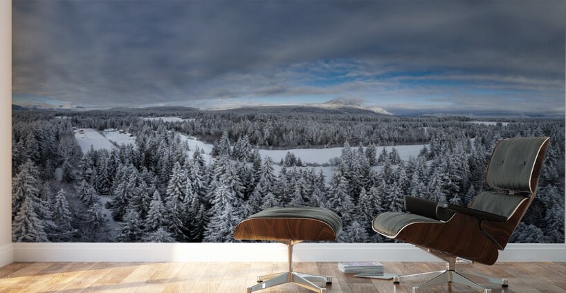 Cowichan Valley Winter Wall Murals