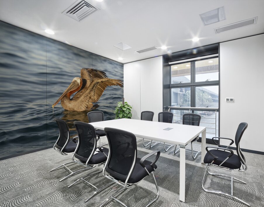Brown Pelican  Wall Printing