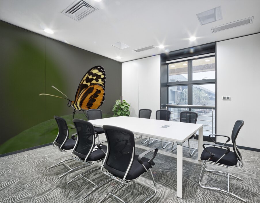 Heliconius Butterfly Wall Printing