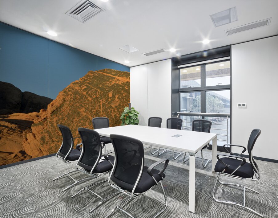 Petroglyphs near Atlatl Rock Wall Printing