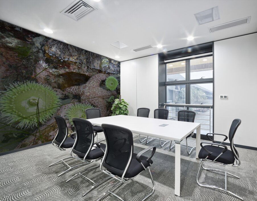 Anemones and eel grass in a tidepool Wall Printing