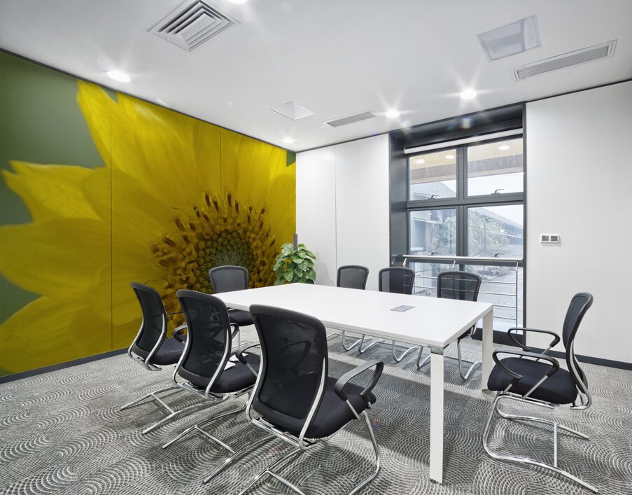 Deltoid Balsamroot Balsamorhiza deltoidea Cowichan Valley Vancouver Island British Columbia Canada Wall Printing