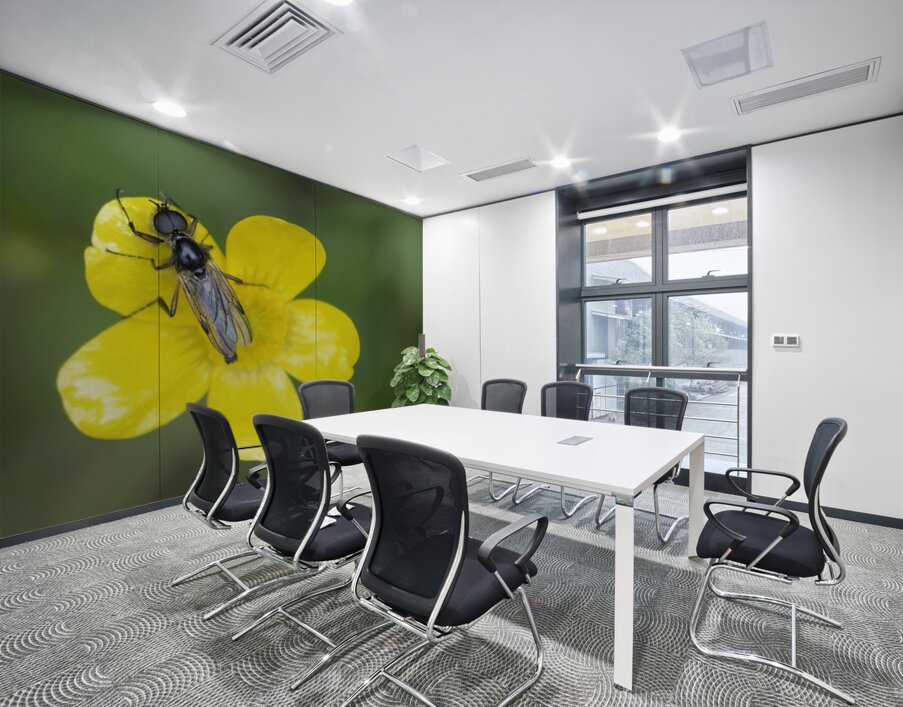 Buttercup Ranunculus Cowichan Valley Vancouver Island British Columbia Canada Wall Printing