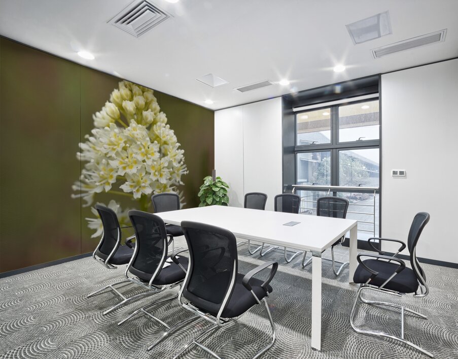 Death Camas or Meadow Death camas Zigadenus venenosus Cowichan Valley Vancouver Island British Columbia Canada Wall Printing