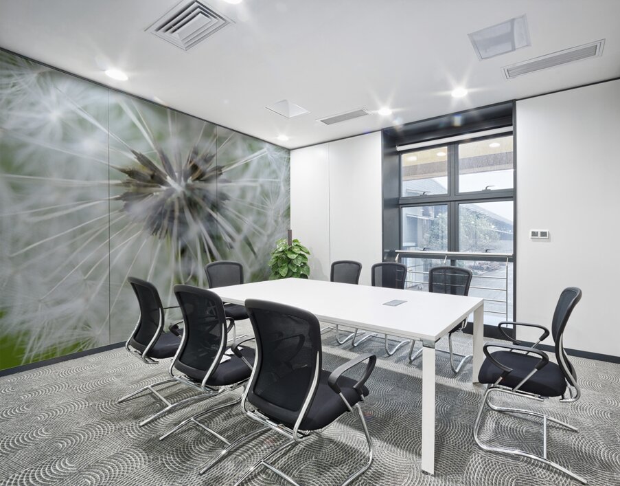 Dandelion Cowichan Valley Vancouver Island British Columbia Canada Wall Printing