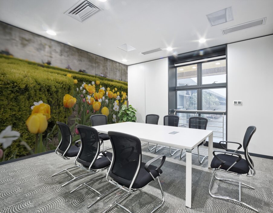 Tulips Jardins des Tuileries - Paris Wall Printing